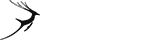 每天都在进步的怎么去攻击一个网站与防护